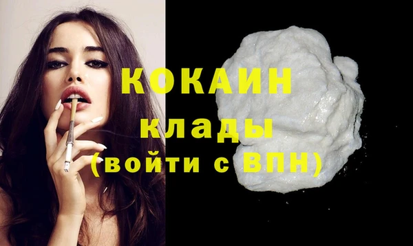 соль ск Алексин