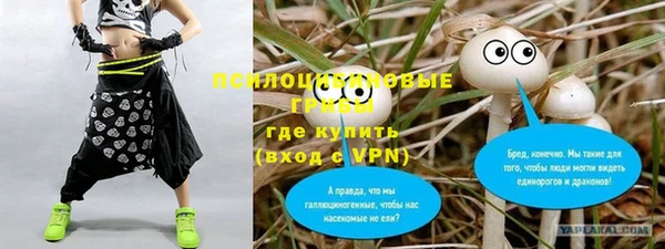 соль ск Алексин